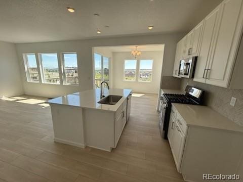 13342 Blue Amber Ct, Parker, CO 80134 - photo 4
