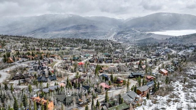 211 Burgundy Cir, Silverthorne, CO 80498 - photo 27