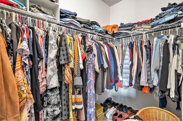 view of spacious closet