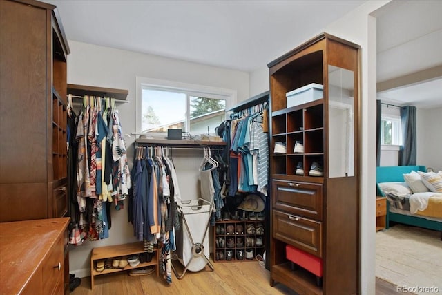 spacious closet featuring wood finished floors