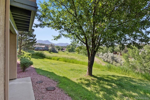 128 W Rockrimmon Blvd Unit 105, Colorado Springs, CO 80919 - view of green lawn with a mountain view