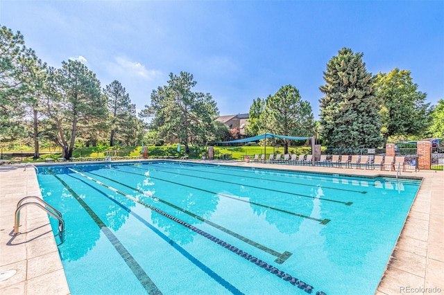 8039 E Phillips Cir, Centennial, CO 80112 - community pool with view of scattered trees