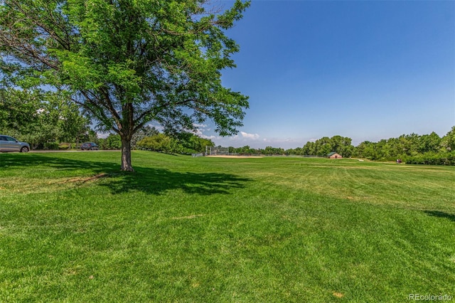 8039 E Phillips Cir, Centennial, CO 80112 - view of green lawn