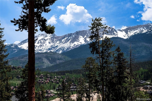 141 Forest Trl # 16, Winter Park, CO 80482 - view of mountain background featuring a forest
