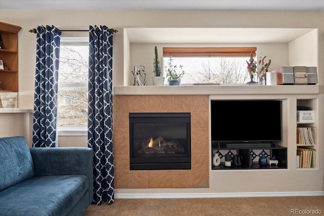 4362 Susie Vw, Colorado Springs, CO 80917 - carpeted living area with plenty of natural light, baseboards, and a fireplace