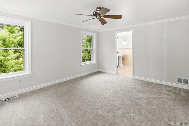 8173 S Trenton Way, Centennial, CO 80112 - photo 13