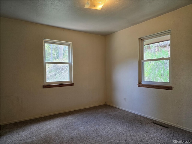 2793 S Beaver Creek Rd, Black Hawk, CO 80422 - empty room featuring healthy amount of natural light, carpet flooring, and baseboards