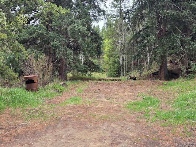 2793 S Beaver Creek Rd, Black Hawk, CO 80422 - view of yard featuring a wooded view