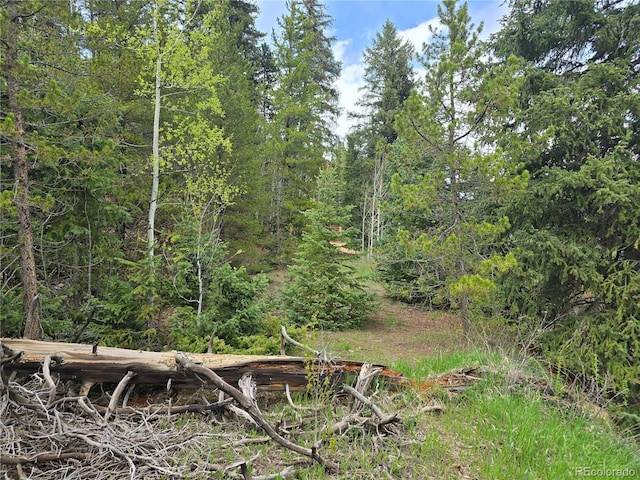 2793 S Beaver Creek Rd, Black Hawk, CO 80422 - view of wooded area