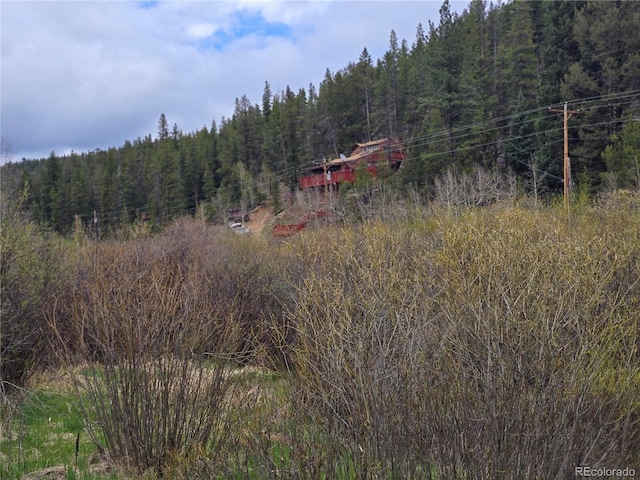 2793 S Beaver Creek Rd, Black Hawk, CO 80422 - view of wooded area
