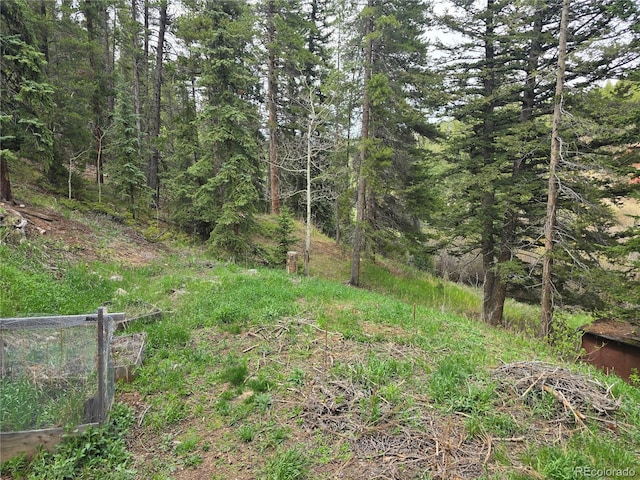 2793 S Beaver Creek Rd, Black Hawk, CO 80422 - view of yard featuring a view of trees