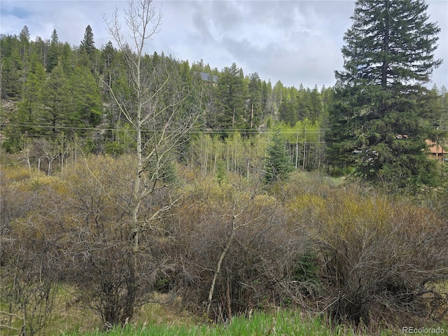 2793 S Beaver Creek Rd, Black Hawk, CO 80422 - view of wooded area
