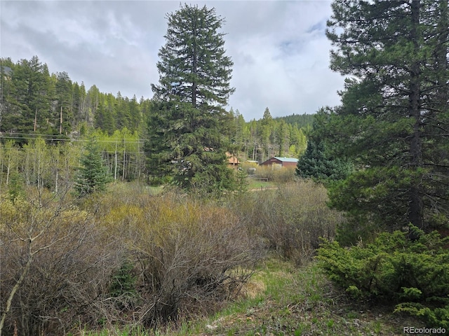 2793 S Beaver Creek Rd, Black Hawk, CO 80422 - view of tree filled area