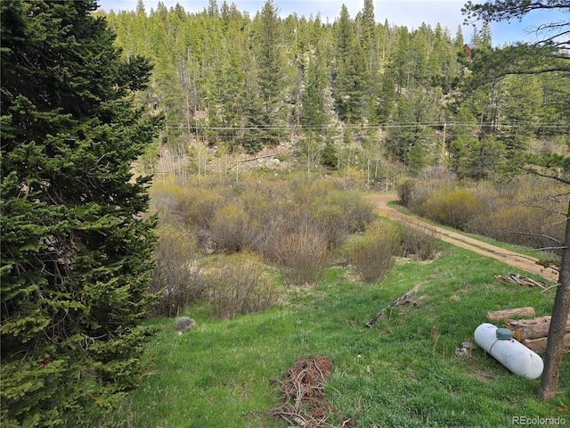 2793 S Beaver Creek Rd, Black Hawk, CO 80422 - view of woods