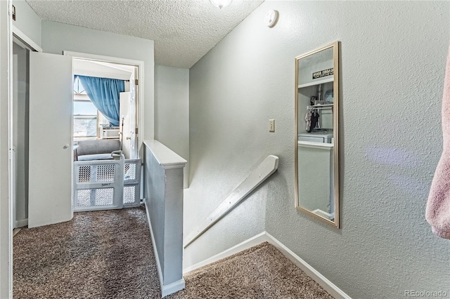 6970 Peyote, Colorado Springs, CO 80919 - photo 16