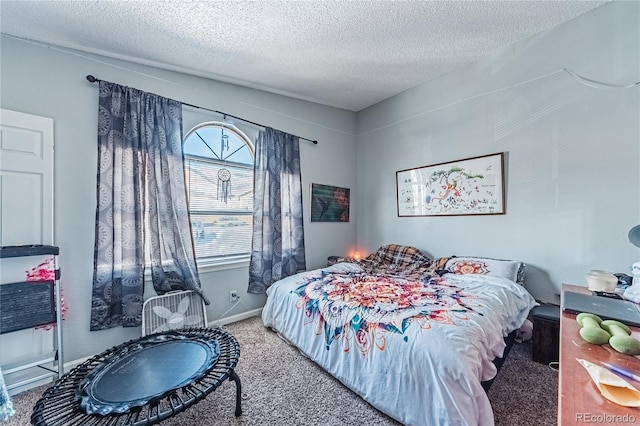 6970 Peyote, Colorado Springs, CO 80919 - photo 22