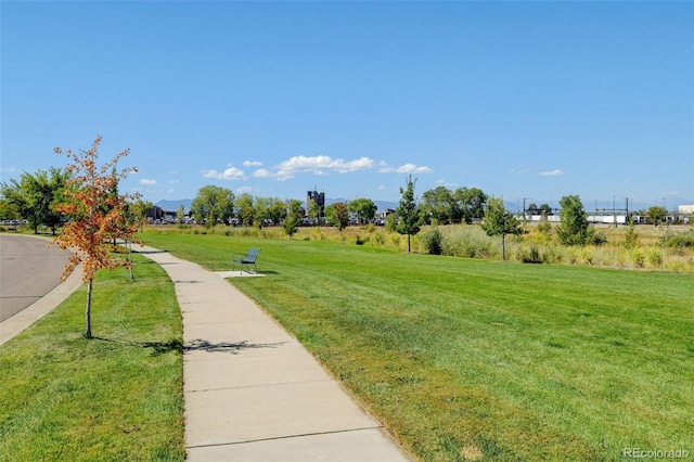 surrounding community with a lawn