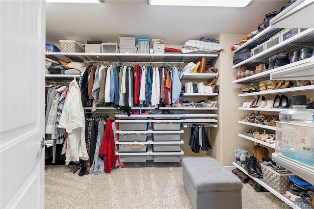 10681 Sundial Rim Rd, Highlands Ranch, CO 80126 - walk in closet with carpet flooring