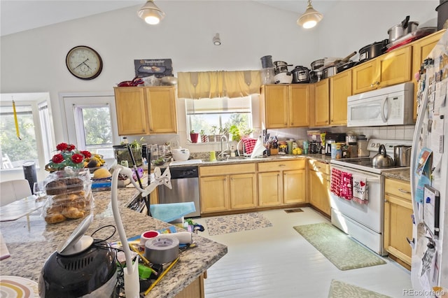 607 Branding Iron Ln, Castle Rock, CO 80104 - photo 12