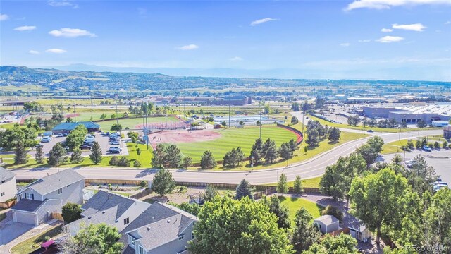607 Branding Iron Ln, Castle Rock, CO 80104 - photo 30