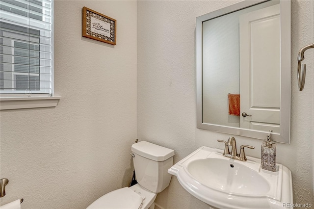 17194 Desert Wine Ln, Parker, CO 80134 - half bathroom with a sink and a textured wall