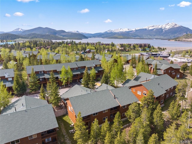 97 Lookout Ridge Dr, Dillon, CO 80435 - photo 19