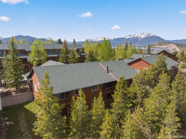 97 Lookout Ridge Dr, Dillon, CO 80435 - photo 22