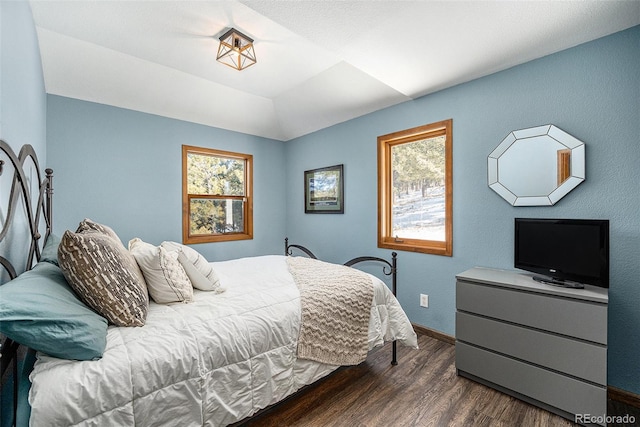 bedroom featuring a raised ceiling, multiple windows, and dark wood-type flooring