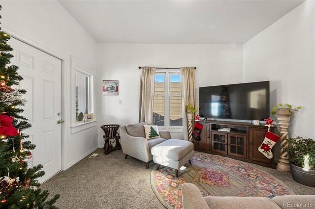 115 W Golden Ave, Cripple Creek, CO 80813 - photo 11