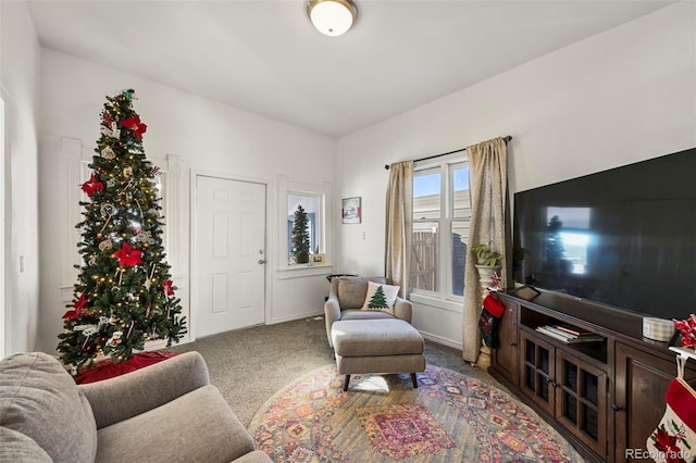 115 W Golden Ave, Cripple Creek, CO 80813 - photo 12