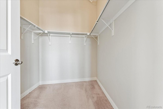 walk in closet featuring carpet floors