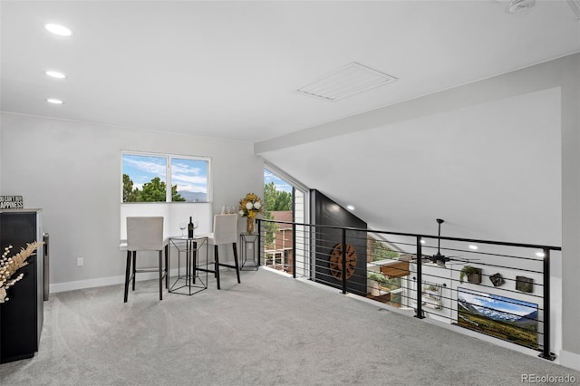 2006 Chelsea Ct, Highlands Ranch, CO 80126 - photo 22