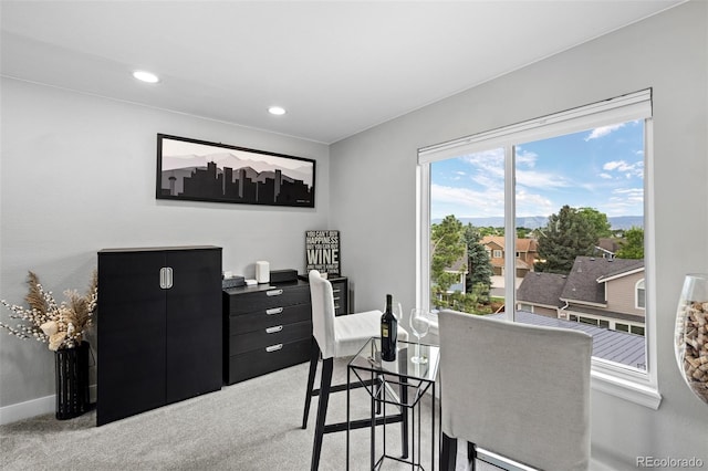 2006 Chelsea Ct, Highlands Ranch, CO 80126 - photo 23