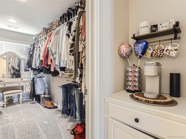 5995 Fencerow Pl, Brighton, CO 80601 - view of walk in closet