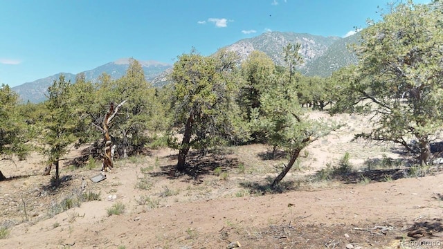 216 Baca Grant Way, Crestone, CO 81131 - photo 11
