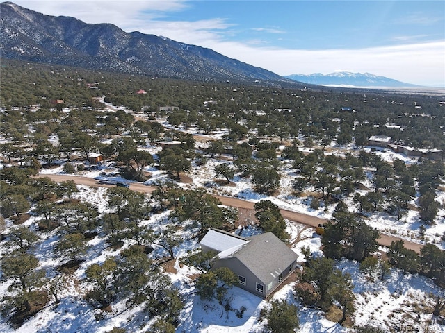216 Baca Grant Way, Crestone, CO 81131 - photo 15