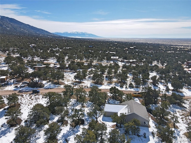 216 Baca Grant Way, Crestone, CO 81131 - photo 17