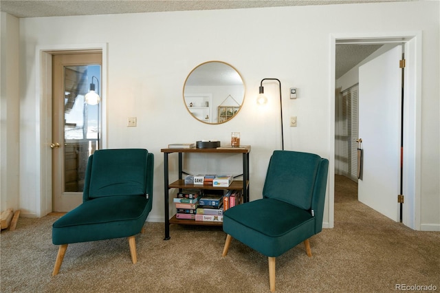 living area with carpet flooring and a textured ceiling