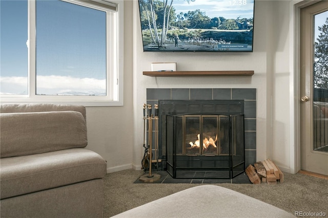 interior space featuring a fireplace and carpet