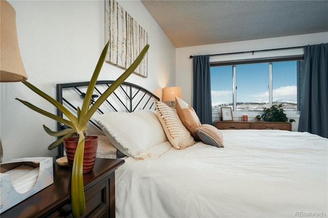 bedroom featuring a textured ceiling