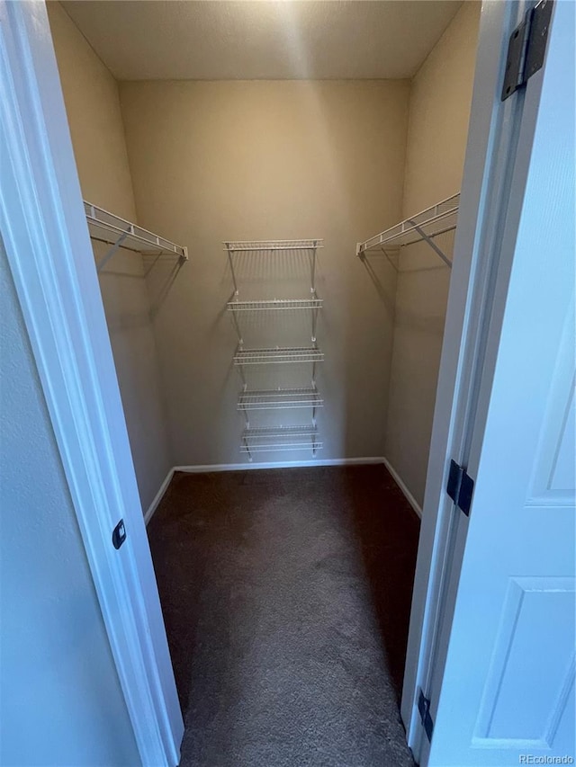 17346 Nature Walk Trl Unit 201, Parker, CO 80134 - walk in closet with carpet floors