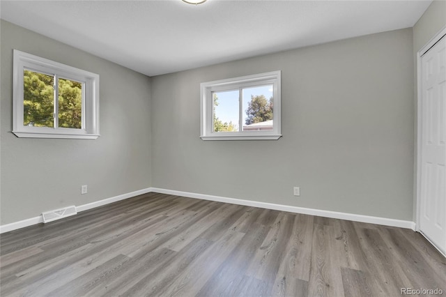 spare room with light hardwood / wood-style flooring and a healthy amount of sunlight