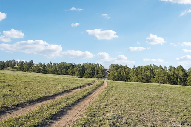 County Road 102, Elbert, CO 80106 - photo 17