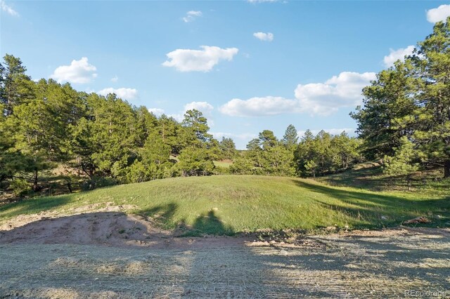 County Road 102, Elbert, CO 80106 - photo 19