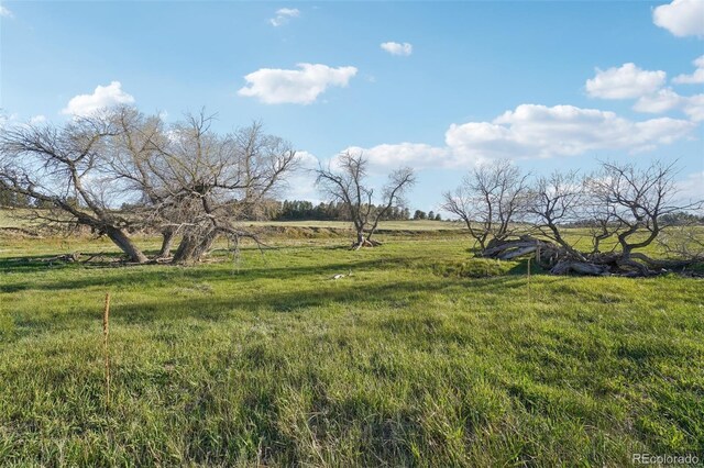 County Road 102, Elbert, CO 80106 - photo 30