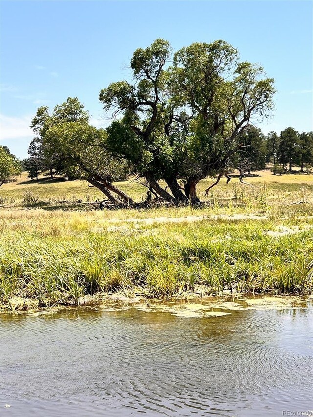 County Road 102, Elbert, CO 80106 - photo 37