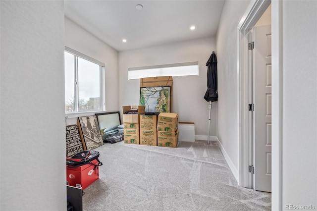 interior space with carpet floors