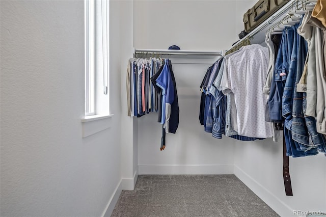 walk in closet featuring carpet flooring