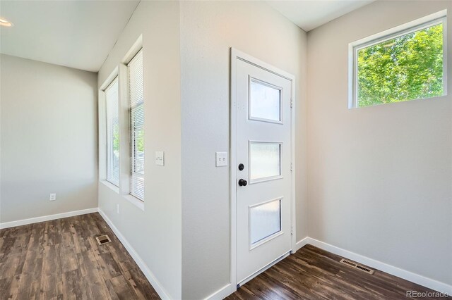 7263 Horsechestnut St, Wellington, CO 80549 - entrance foyer featuring dark wood-type flooring and baseboards
