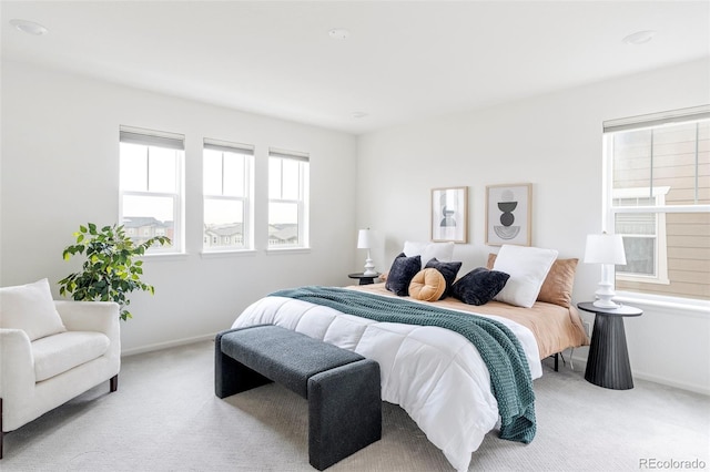 bedroom with baseboards and carpet floors